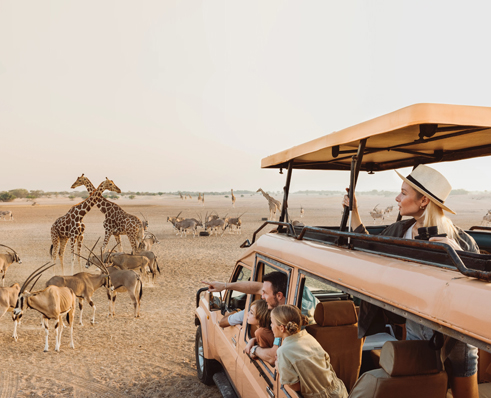 Magic Sands journeys